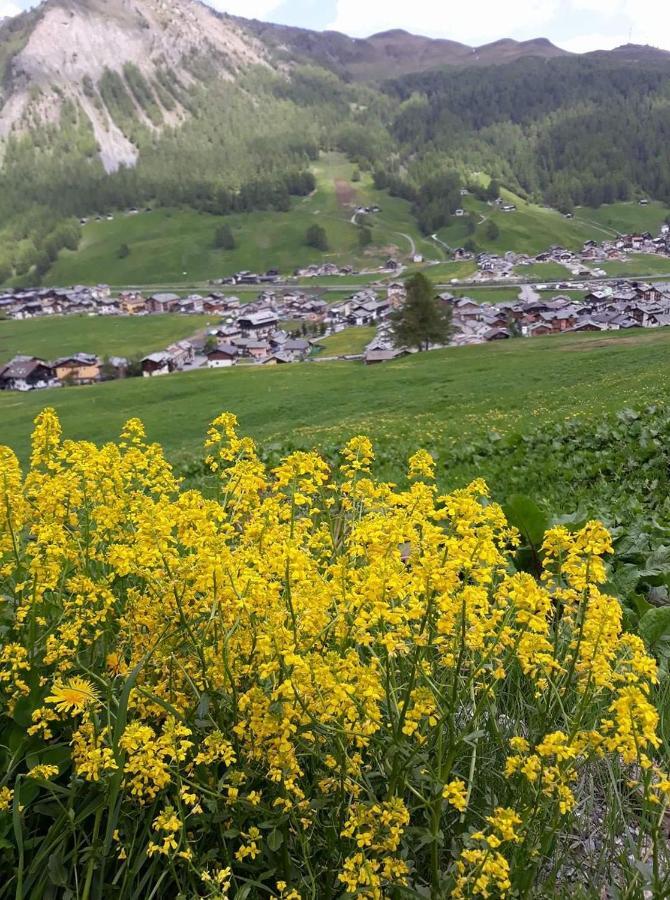 Chalet Da Florin Livigno Exterior foto
